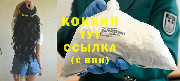 дживик Баксан