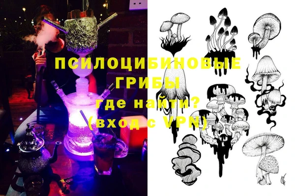 дживик Баксан