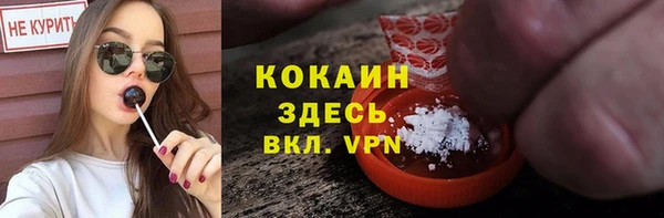 дживик Баксан
