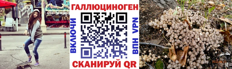 Псилоцибиновые грибы мицелий наркошоп Олонец